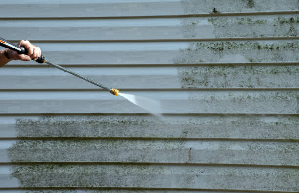 Best Mold Damage Repair  in Mount Gilead, OH